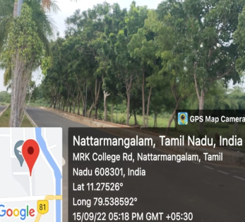 Green Environment at College Entrance