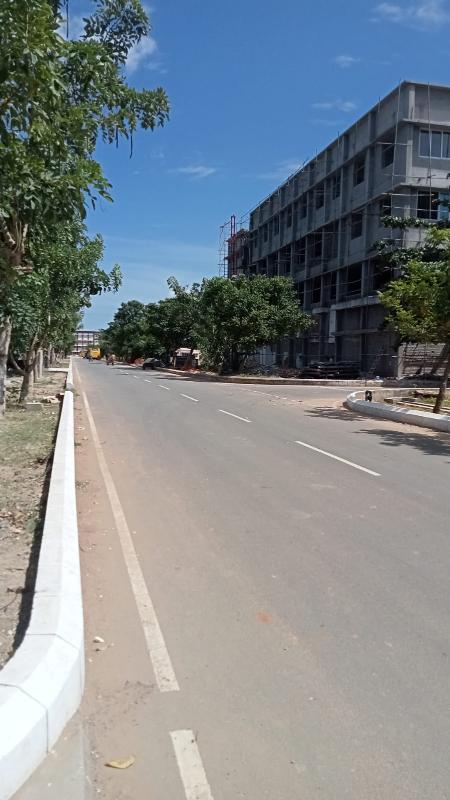 Pedestrian Friendly Road